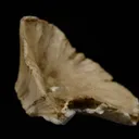 Ulexite "Clamshell" - image 3