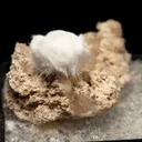 Ulexite on Colemanite - image 4