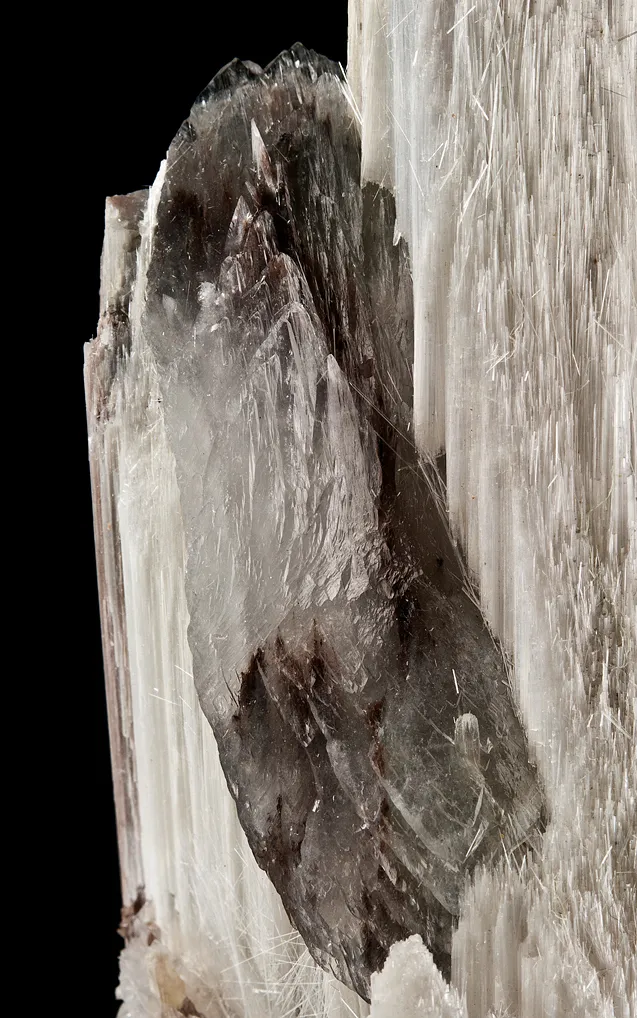 Ulexite with Colemanite - image 2