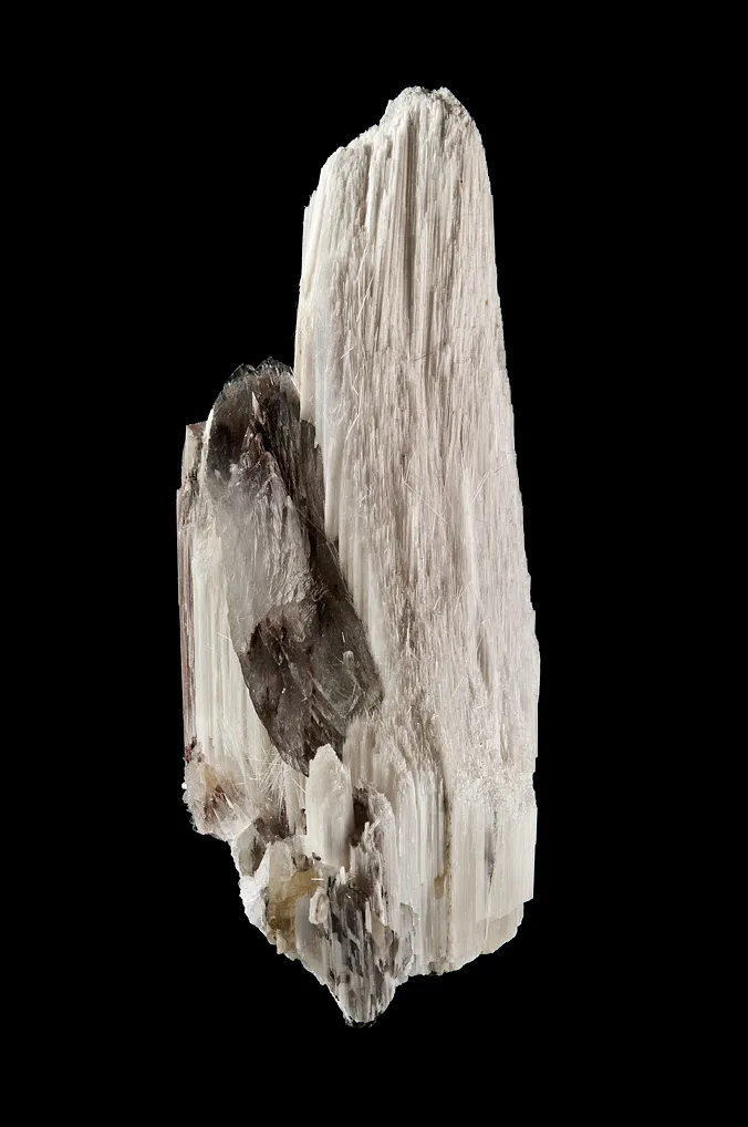 Ulexite with Colemanite image