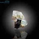 Unique Aquamarine with Schorl and Quartz - image 5