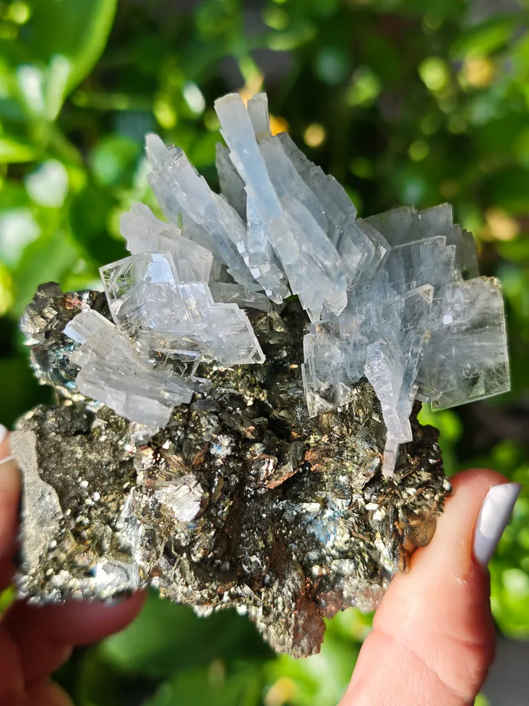 Unique blue barite crystals with pyrite - Morocco. Crystalline elegance and light blue color in it barites in a shiny pyrite image