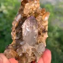specimen video