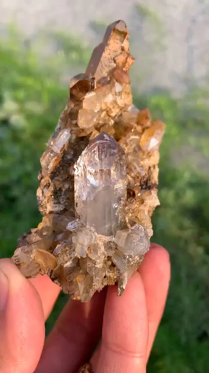 specimen video