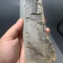 Unique Skeletal Smoky quartz with small Fluorite Crystal from Pakistan - image 6