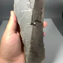 specimen video