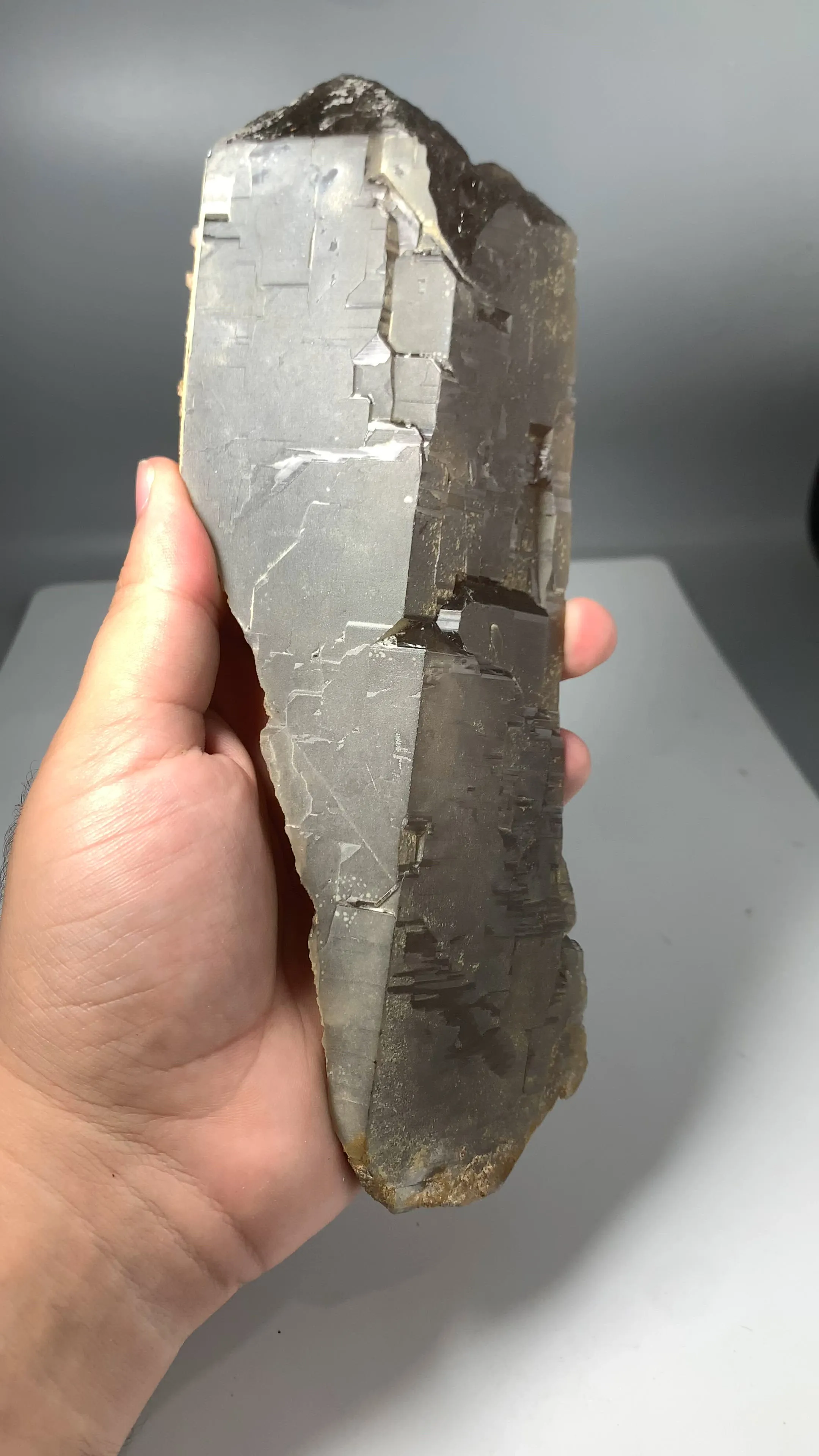 specimen video