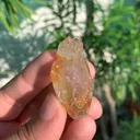 specimen video