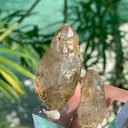 Unique Skeletal Window Quartz Crystals from Pakistan - image 4