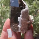 specimen video