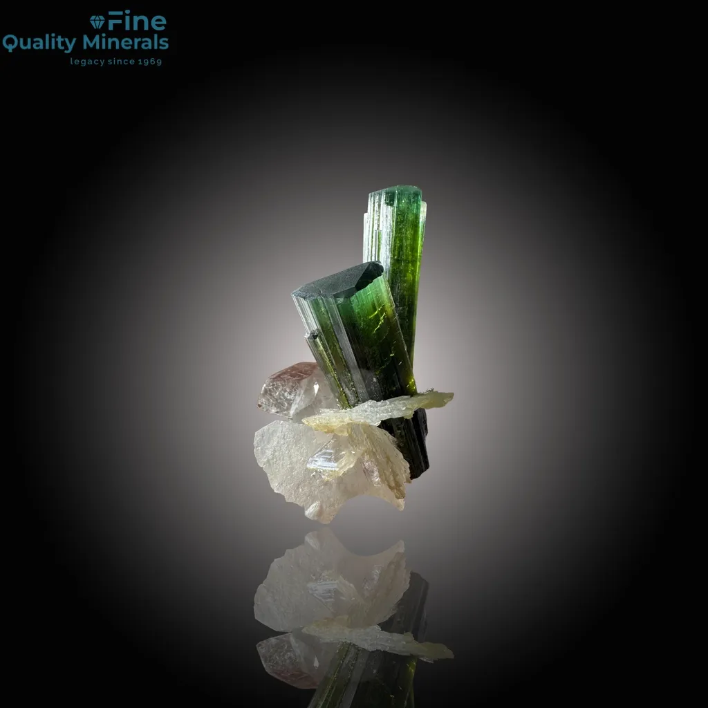 Unique V-Shape Tourmaline on Quartz - image 2
