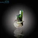 Unique V-Shape Tourmaline on Quartz - image 2