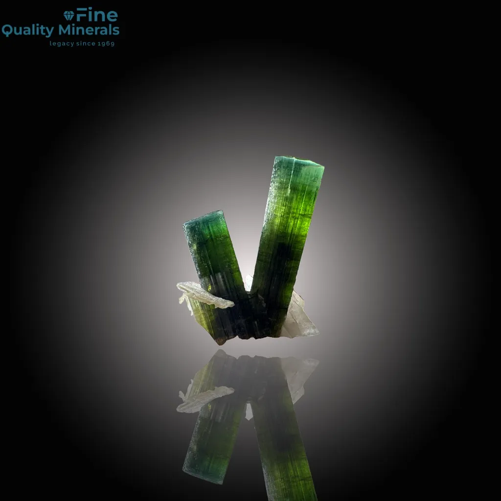 Unique V-Shape Tourmaline on Quartz image