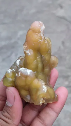 specimen video