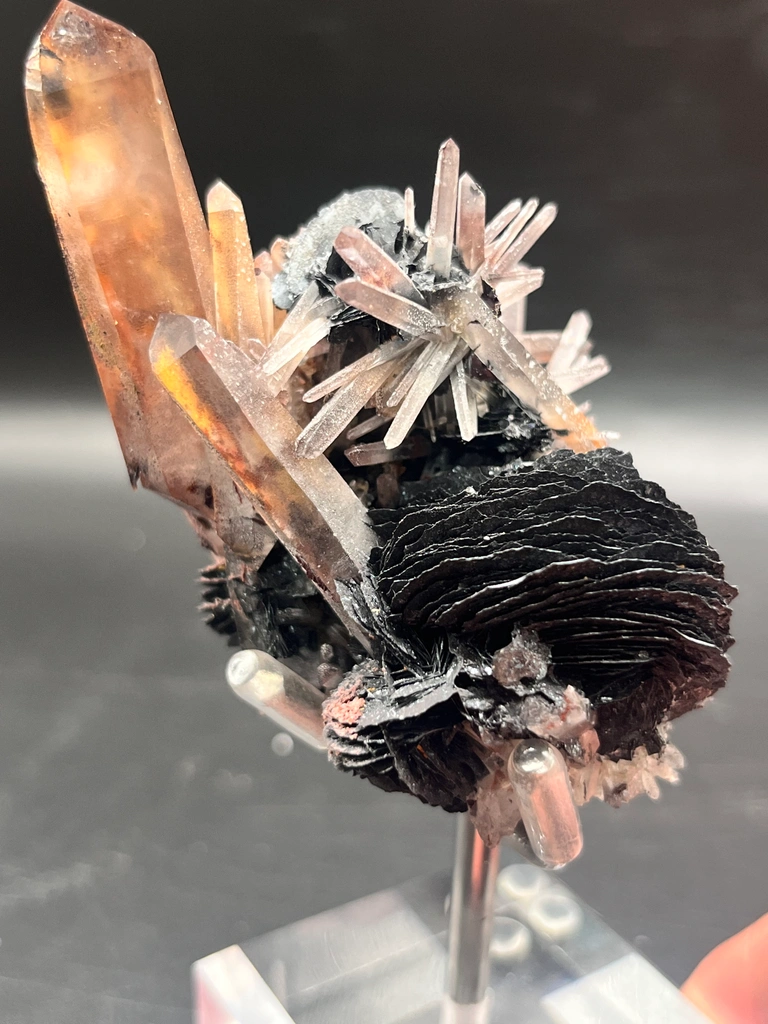 Unrepaired Specular Hematite (Iron Rose) with Quartz, Jinlong Hill, Longchuan Guangdong, Sourced at Mineral Bazaar - image 4