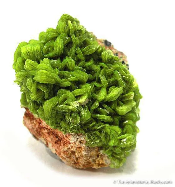 Uranocircite image