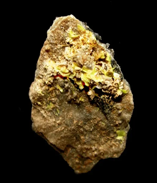 Uranocircite image