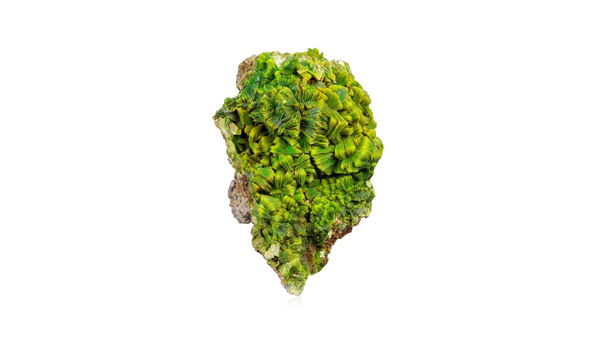 Uranocircite - image 1