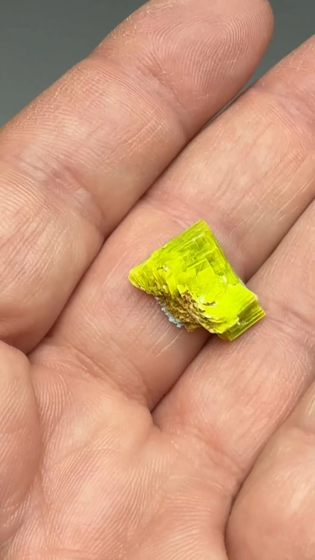 Uranocircite - image 2