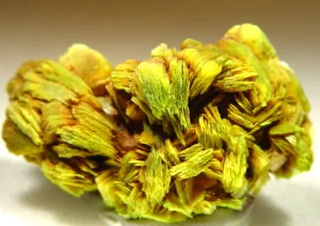 Uranocircite - image 1