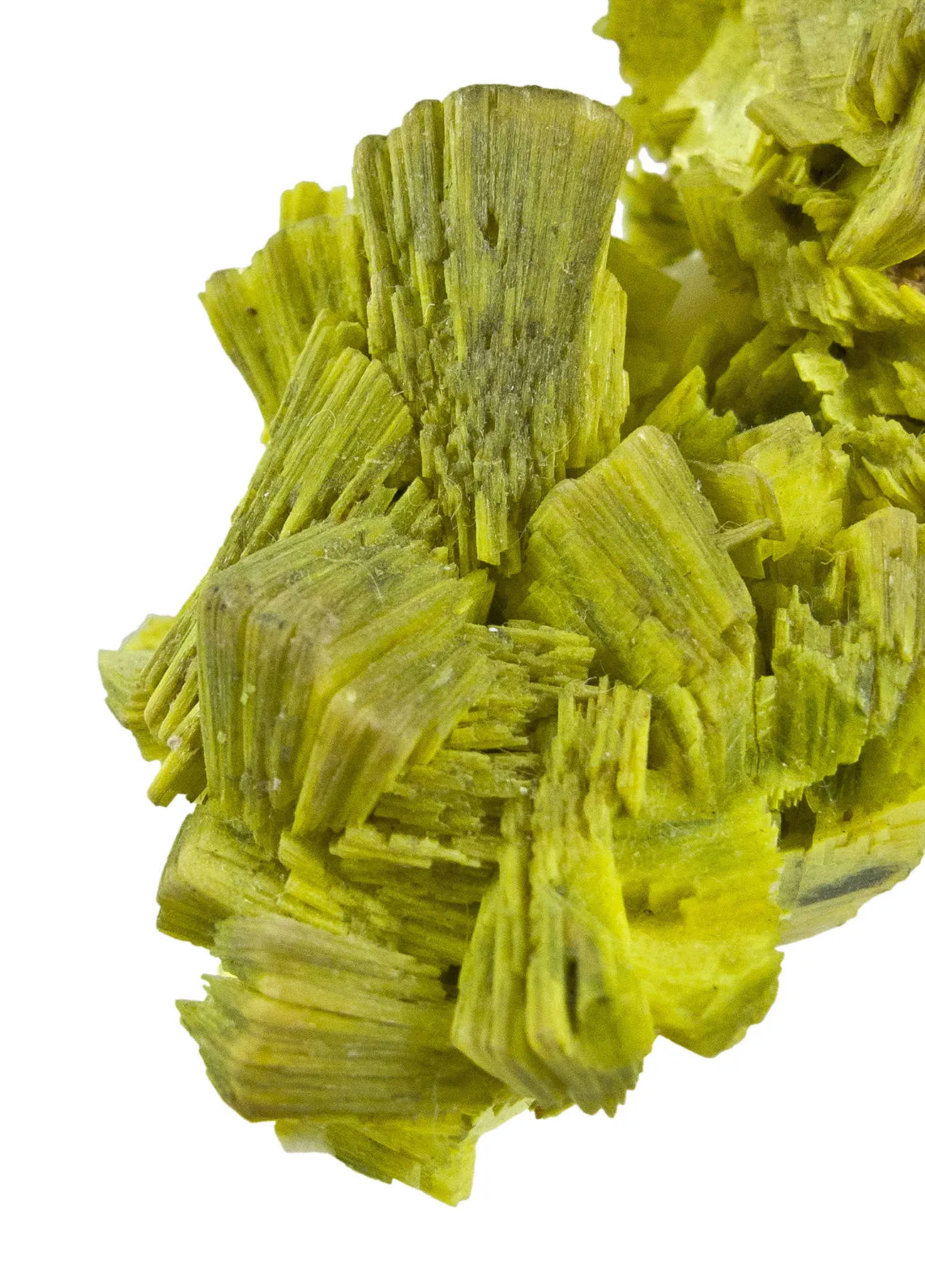 Uranocircite - image 3