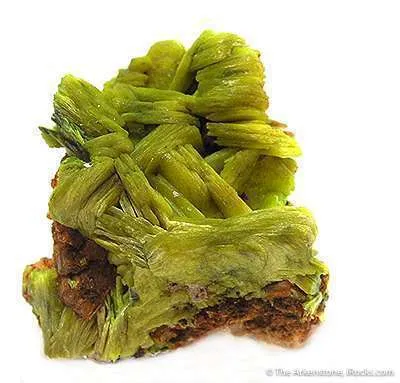 Uranocircite image