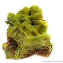 Uranocircite - image 1