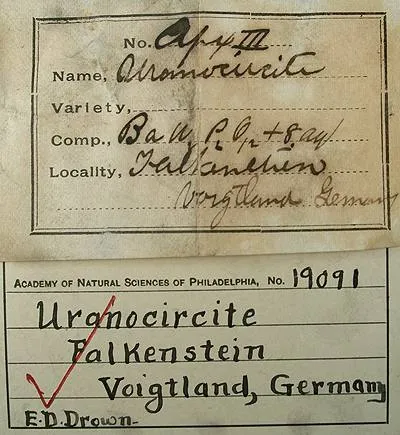 Uranocircite - image 2