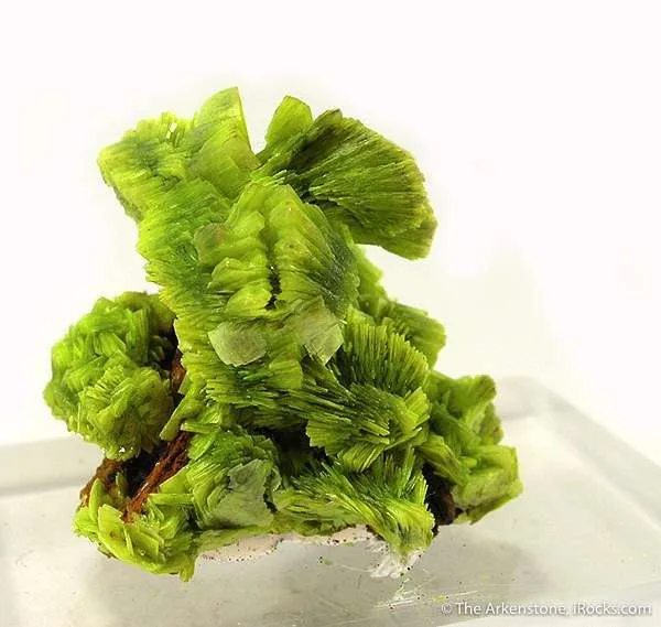 Uranocircite image