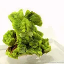 Uranocircite - image 1
