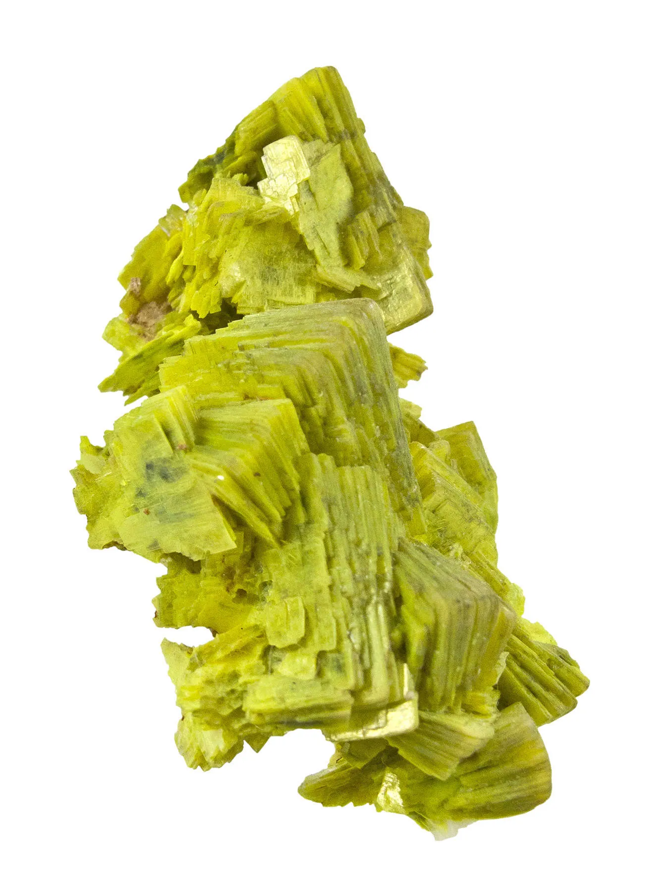 Uranocircite - image 5