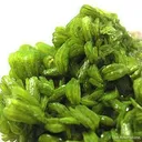 Uranocircite - image 2