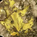 Uranophane - image 2