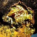 Uranophane, Baryte - image 2