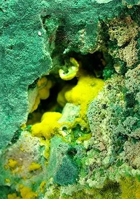 Uranophane, Malachite - image 2