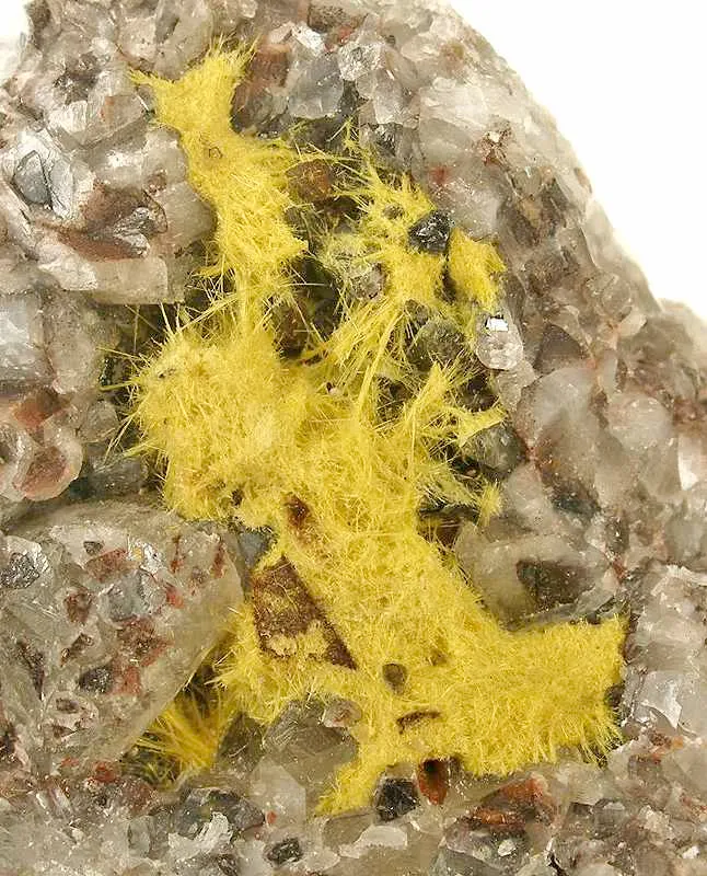 Uranophane on Calcite - image 2