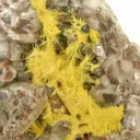 Uranophane on Calcite - image 2