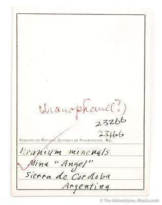 Uranophane Pseudo. Uraninite - image 3