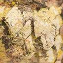 Uranophane Pseudo. Uraninite - image 2