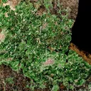 Uvarovite - image 2