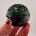 specimen video