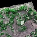 Uvarovite (Type Locality) - image 1