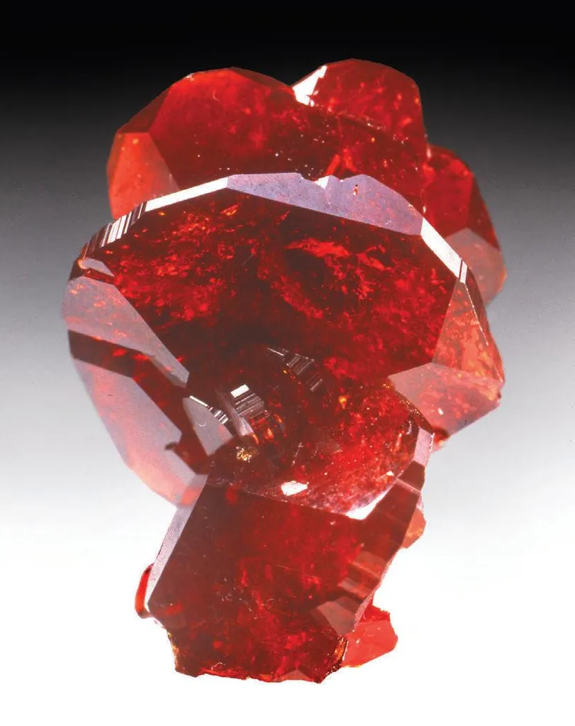 Uvite - image 2