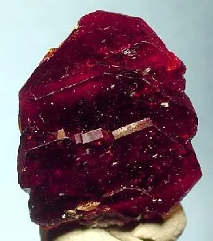 Uvite image