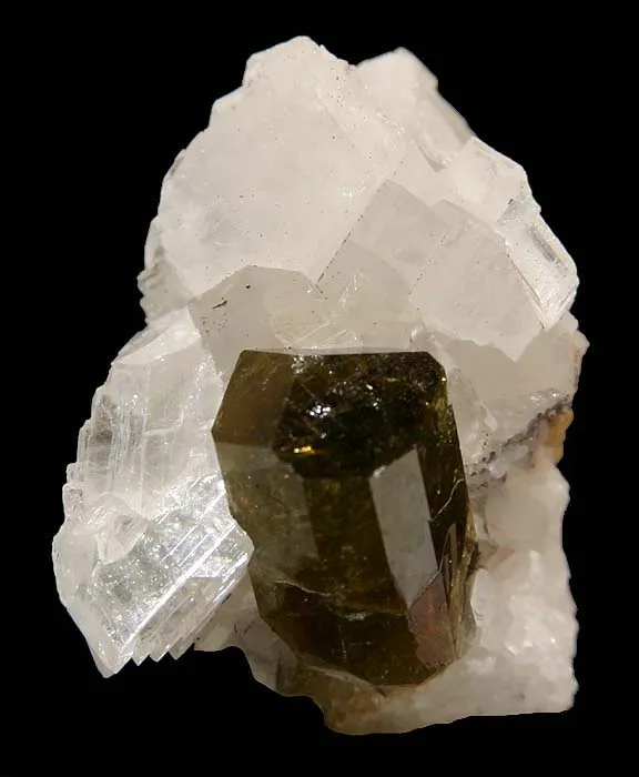 Uvite image