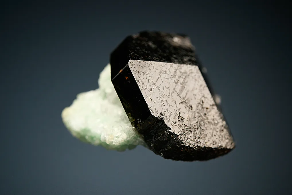Uvite - image 3