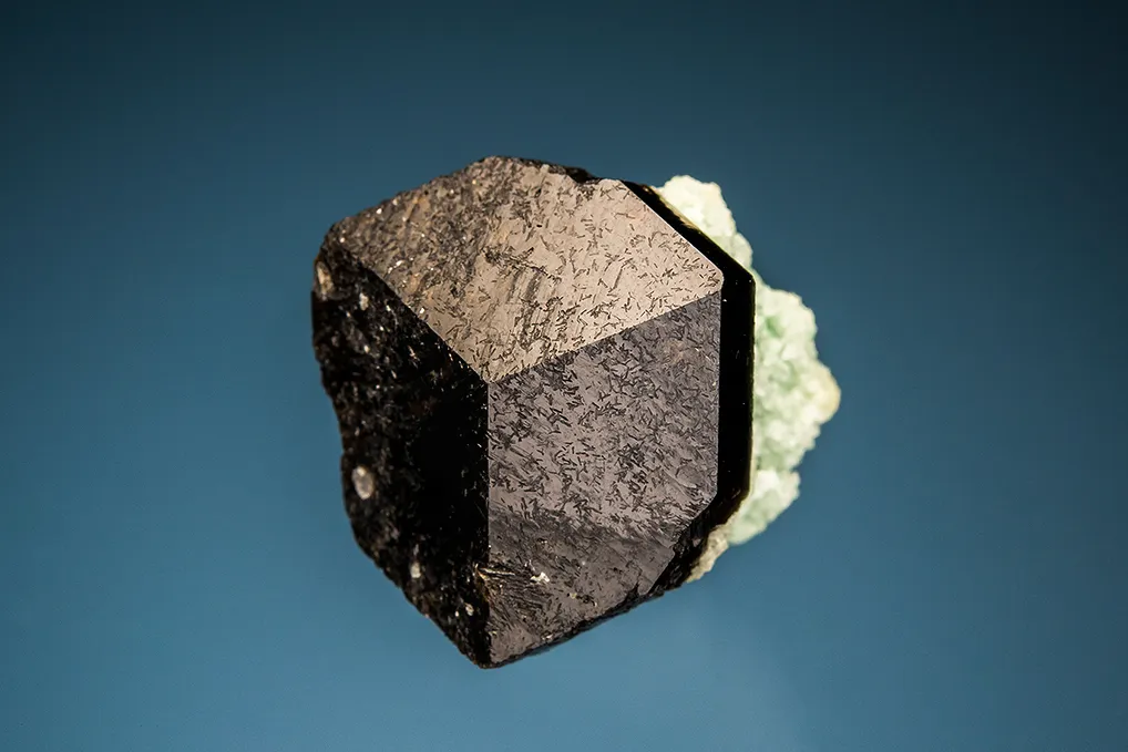 Uvite image