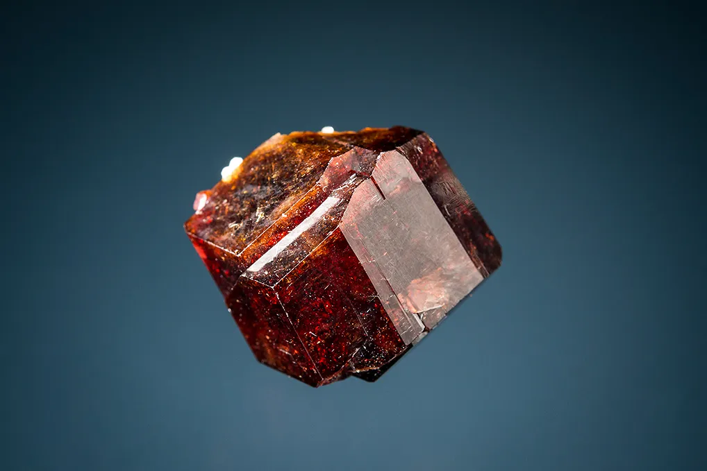 Uvite image