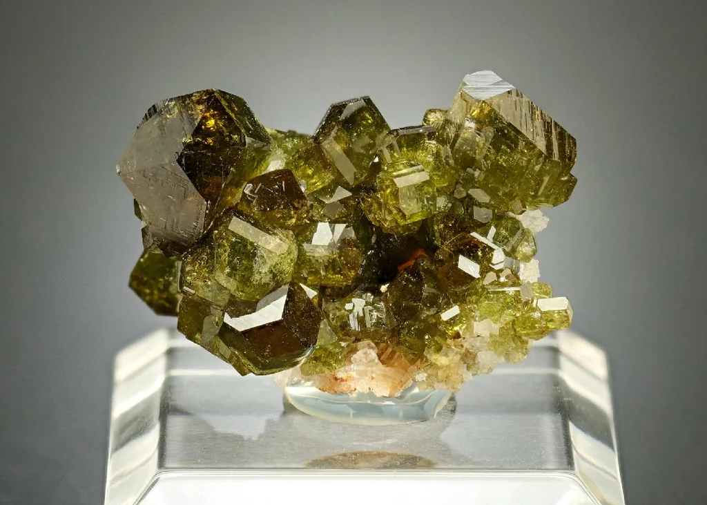 Uvite image