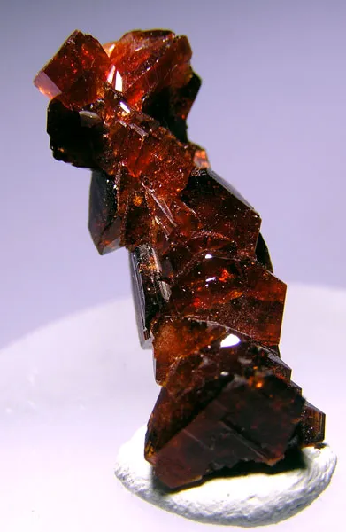 Uvite image